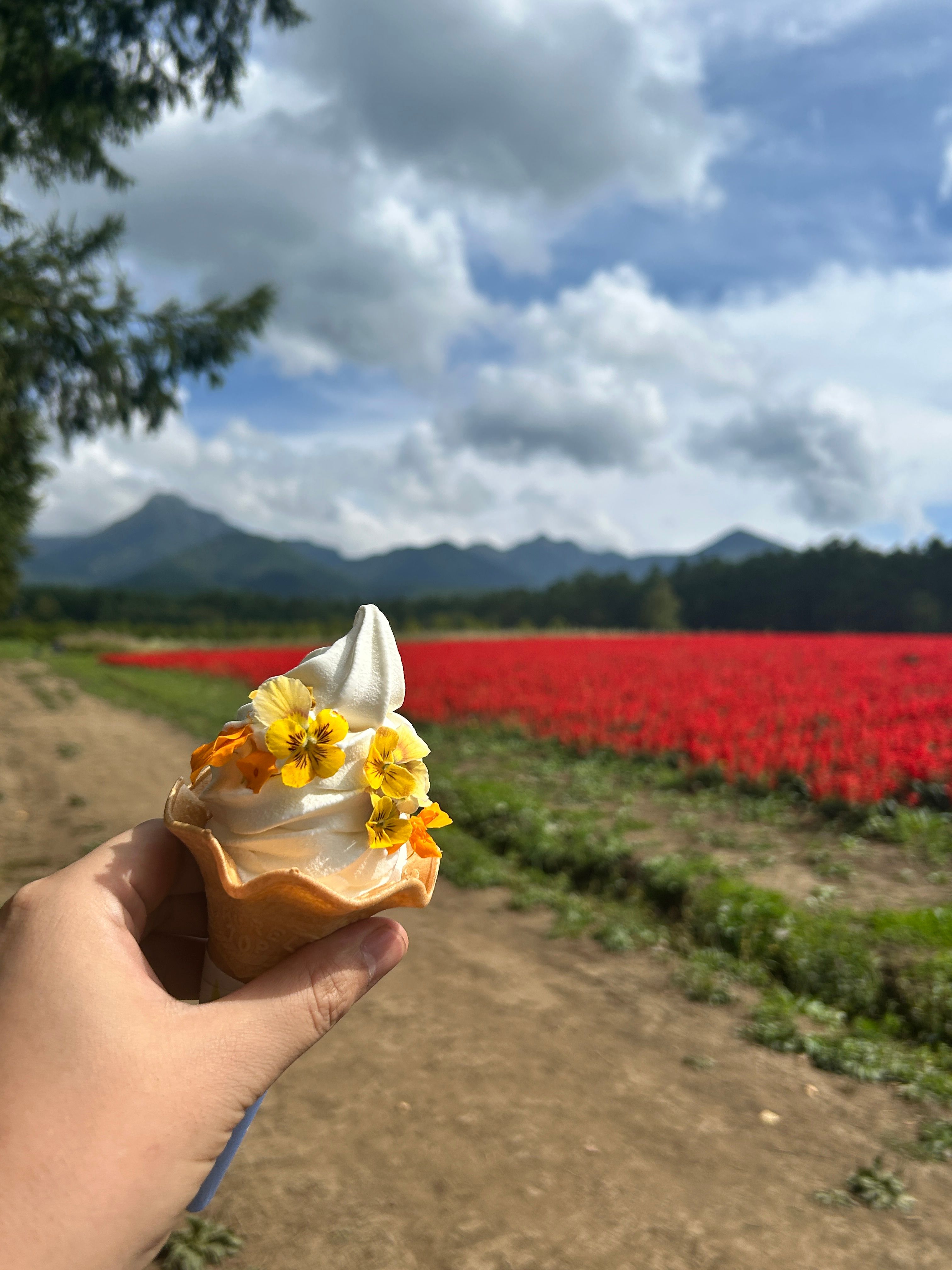 Featured image of the post