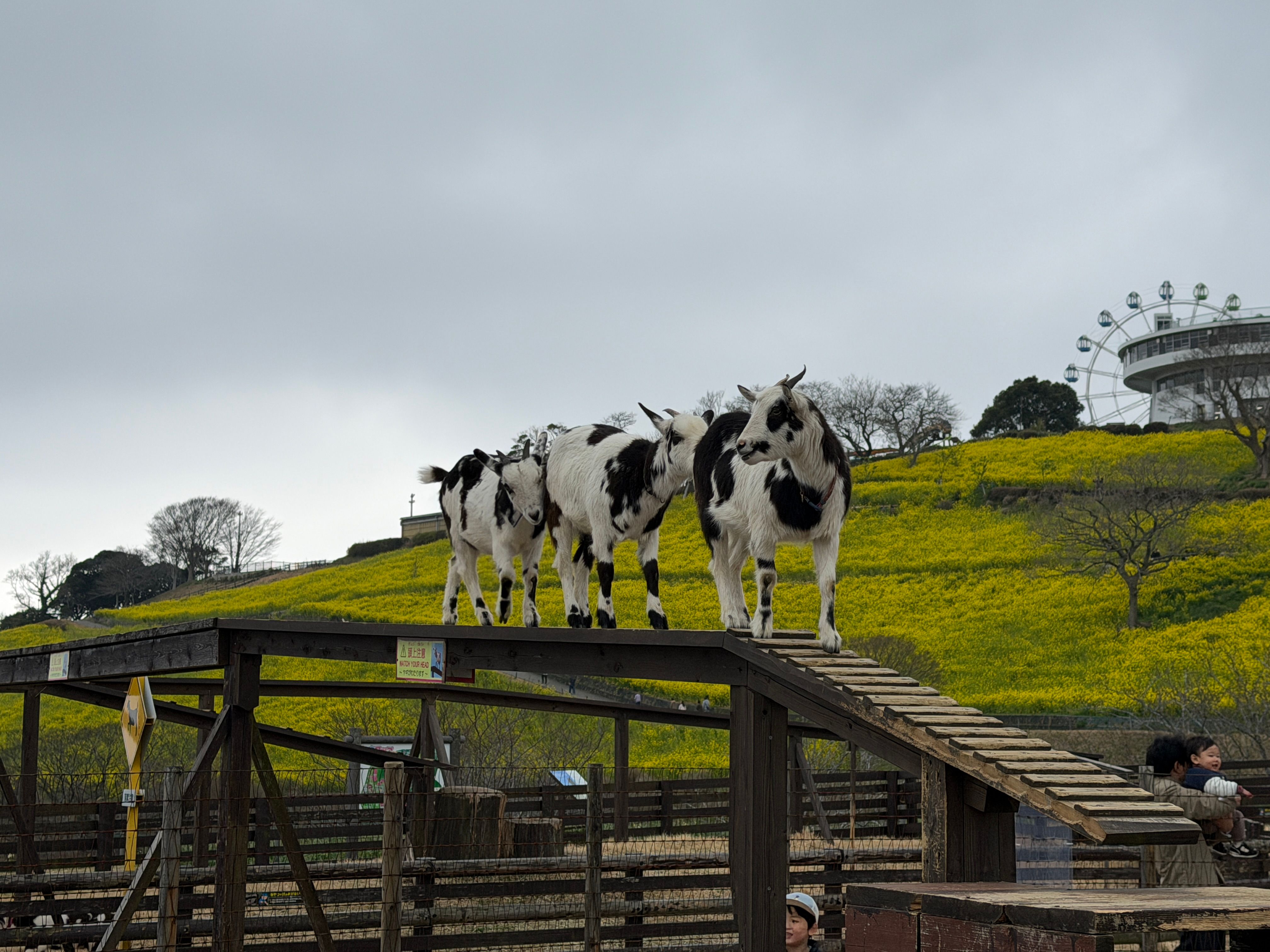 Featured image of the post